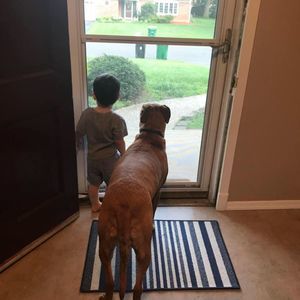 Meet your Posher, Carly